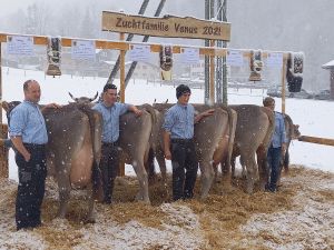 Zuchtfamilie Venus 2